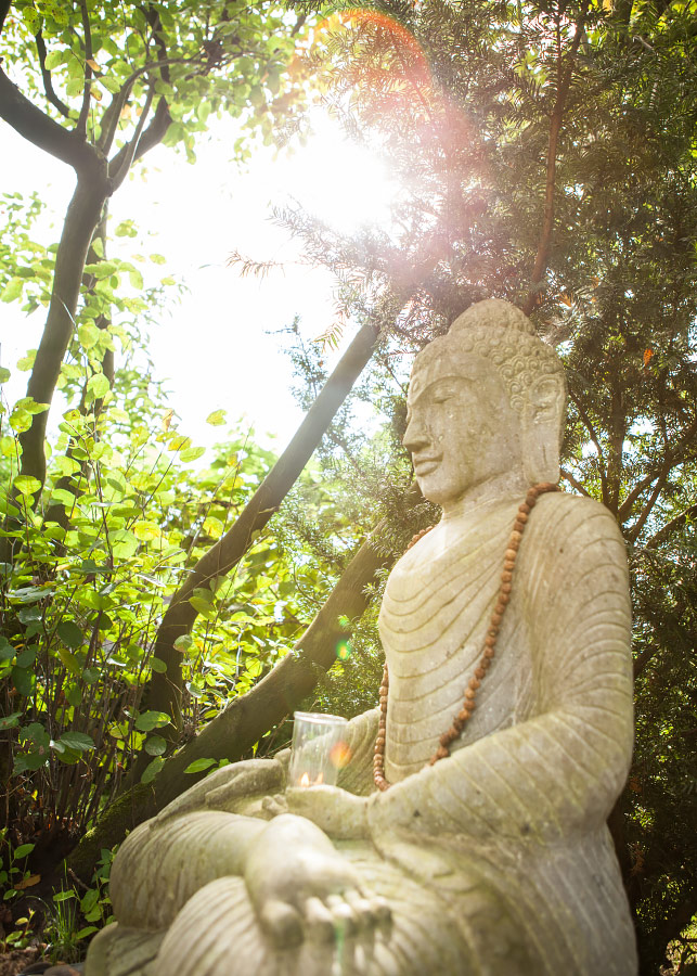 Buddha - Licht - Sonne