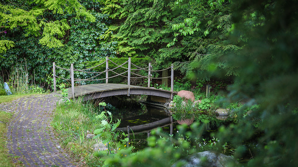 Garten - Brücke