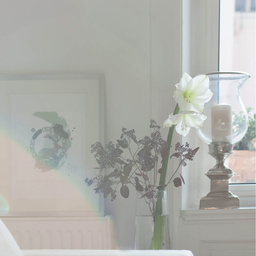 Wohnzimmer - Glas - Deko - Bild - Blume